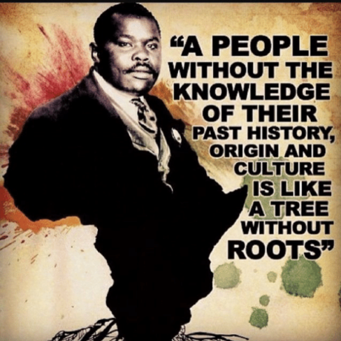 A People without knowledge of their past history, origin, and culture is like a tree without roots 